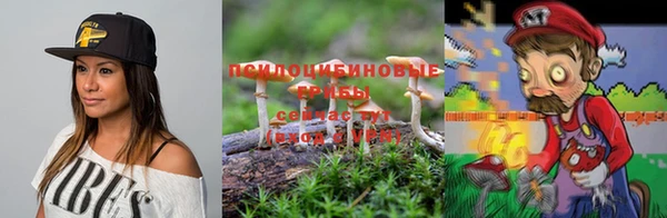 ПСИЛОЦИБИНОВЫЕ ГРИБЫ Нязепетровск