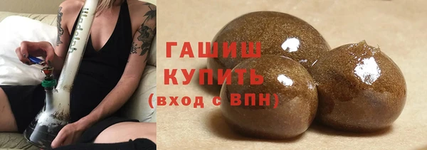 спиды Богородицк