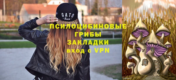 стафф Няндома