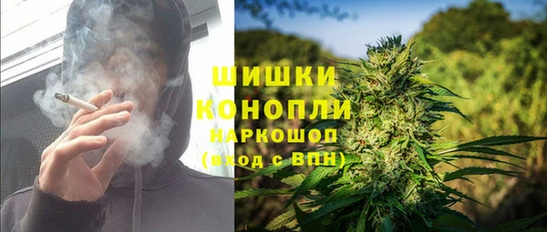 стафф Няндома