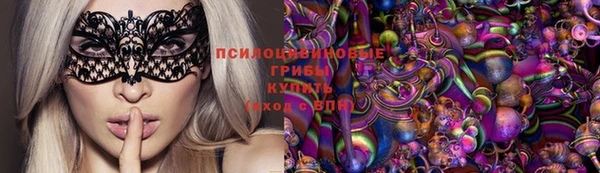 стафф Няндома