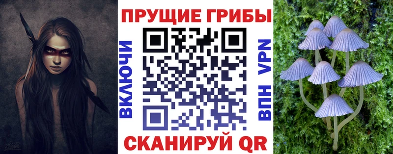 omg маркетплейс  Кяхта  Псилоцибиновые грибы Psilocybine cubensis 